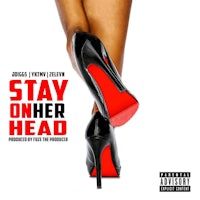 stay on other head cover art